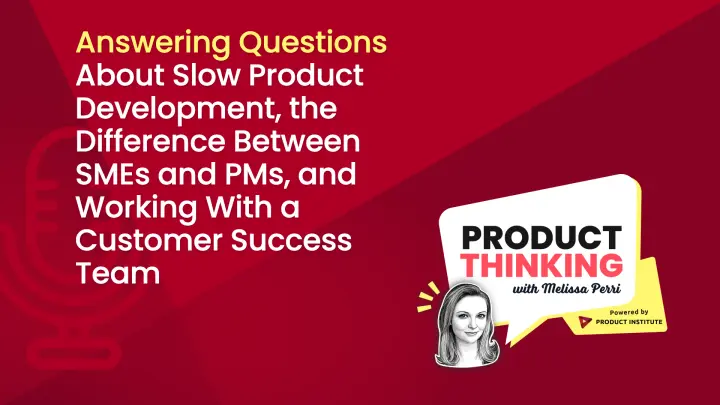 Episode 111: Slow Product Development and SMEs